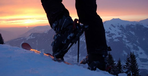Sci alpinismo